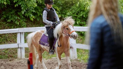 Pony Ponderosa in Düsseldorf Lohausen